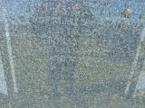 image of grave number 762964